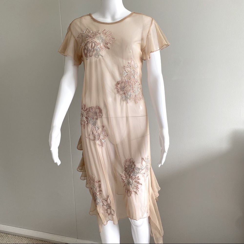 Zara Mesh embroidered sheer dress